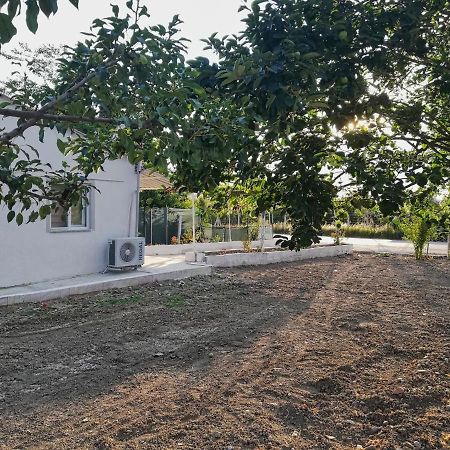 Alibaba Villa Near Airport And Beach Dalaman Luaran gambar