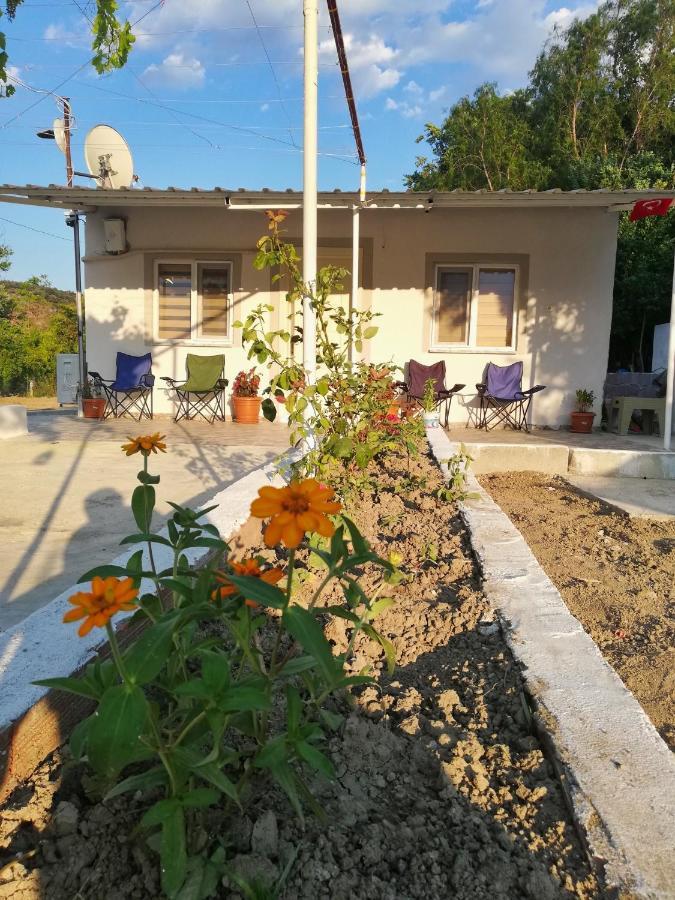 Alibaba Villa Near Airport And Beach Dalaman Luaran gambar