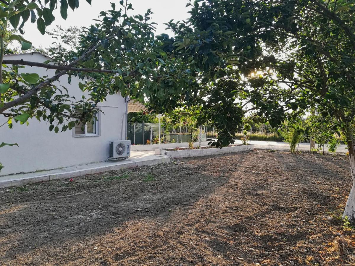 Alibaba Villa Near Airport And Beach Dalaman Luaran gambar