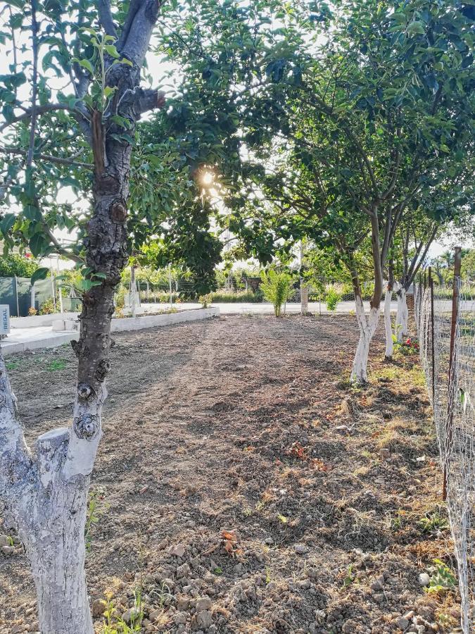 Alibaba Villa Near Airport And Beach Dalaman Luaran gambar