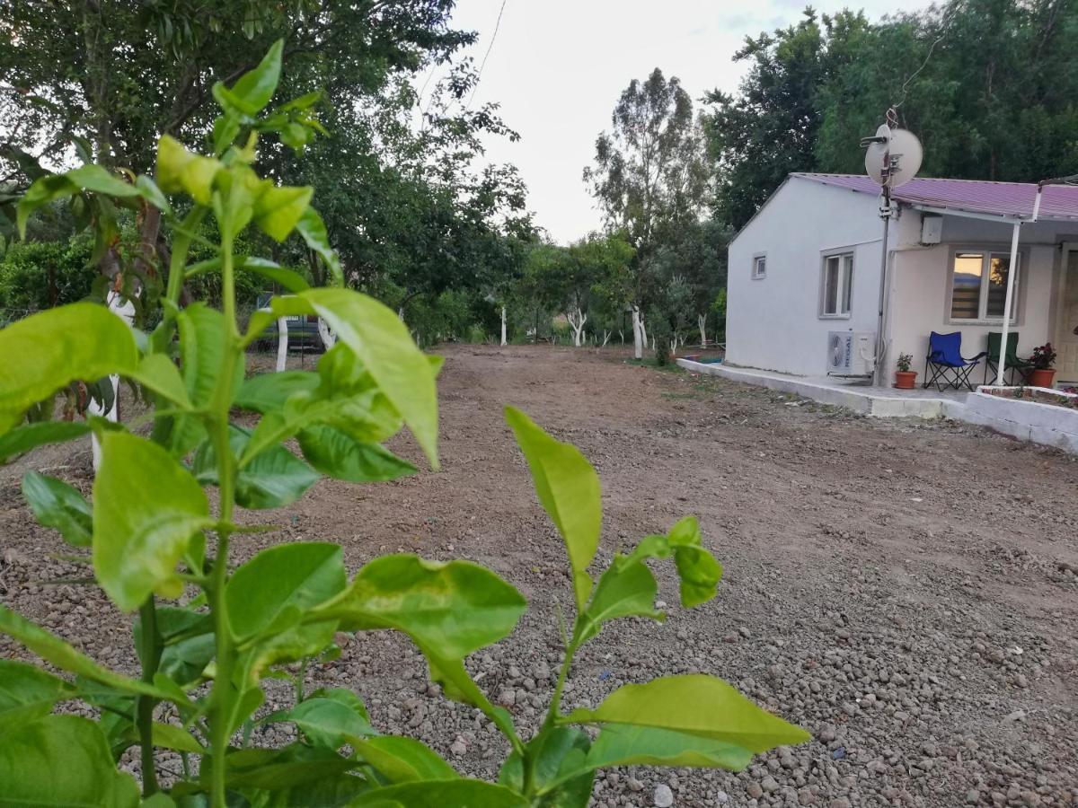 Alibaba Villa Near Airport And Beach Dalaman Luaran gambar